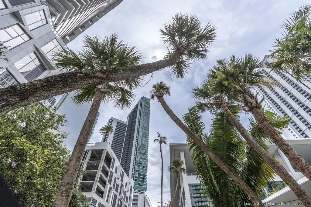 Palm trees amid high rises at Miami Worldcenter (Jock Fistick / South Florida Business Journal)